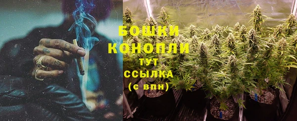 СК Бронницы