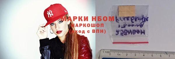 прущие грибы Бородино