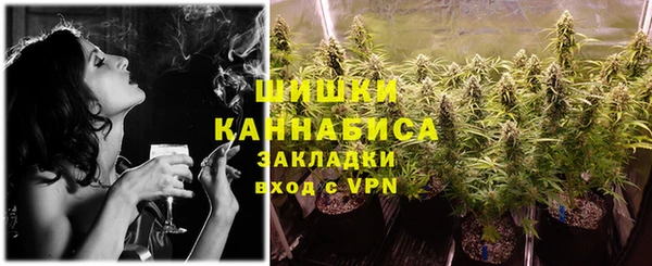 прущие грибы Бородино