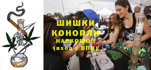 СК Бронницы