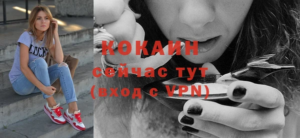 кокс Богородицк