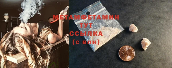 прущие грибы Бородино