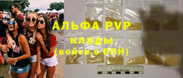 прущие грибы Бородино