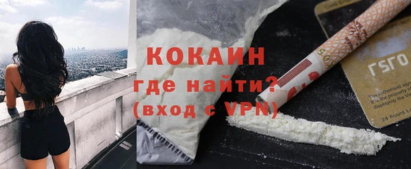 прущие грибы Бородино