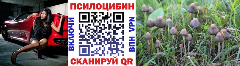 Псилоцибиновые грибы ЛСД Корсаков